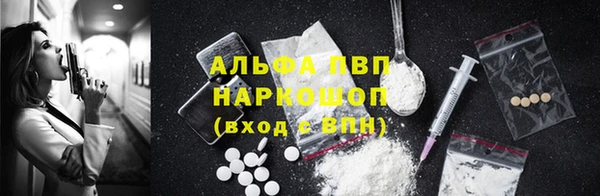 гидра Киреевск