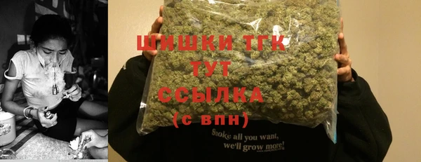 гидра Киреевск