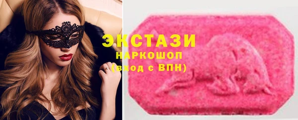 шишки Билибино