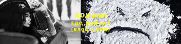 тгк Касимов