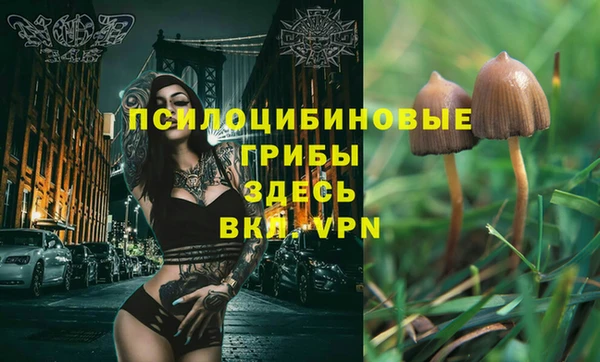 гидра Киреевск