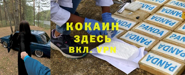 стафф Козельск
