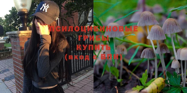 сатива Киренск
