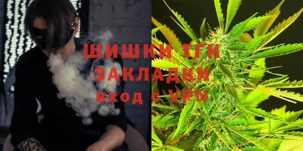 сатива Киренск