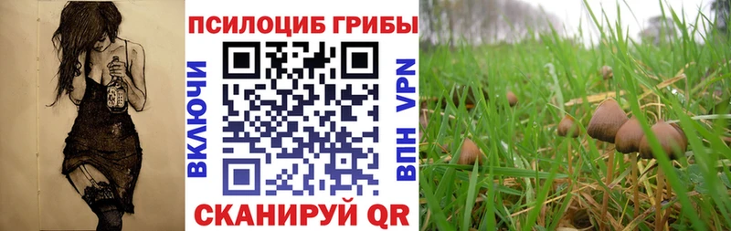 Псилоцибиновые грибы Magic Shrooms  Кондрово 