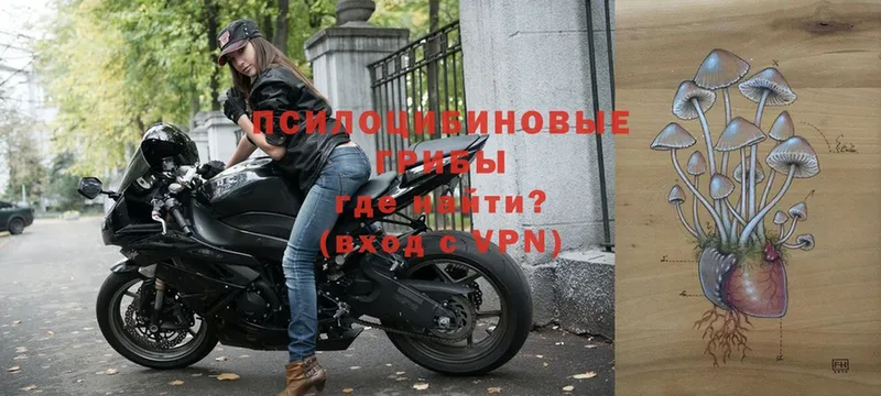 Галлюциногенные грибы мухоморы  Кондрово 